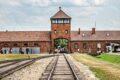 Das Bild zeigt das Beitragsbild 1 zum Thema: Holocaust-Gedenktag
